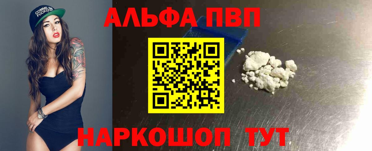 Альфа ПВП СК Новотроицк
