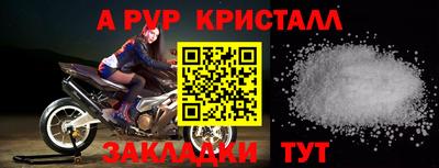 стаф Гатчина