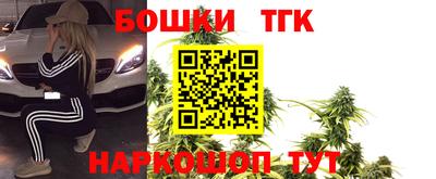 стаф Гатчина