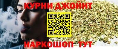 стаф Гатчина