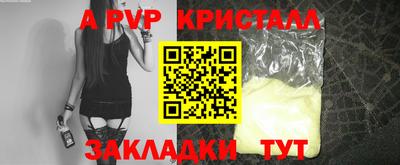 стаф Гатчина