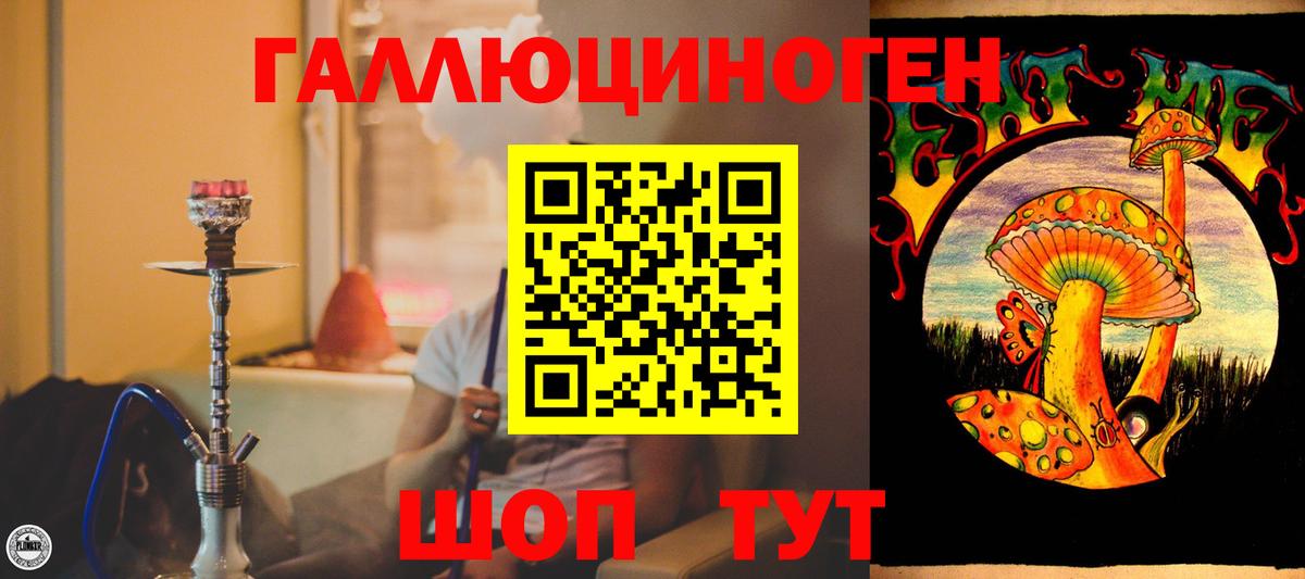 Галлюциногенные грибы Psilocybine cubensis Новотроицк