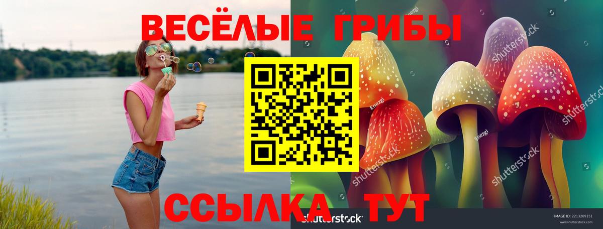 Новотроицк  Псилоцибиновые грибы Psilocybine cubensis  Вход с VPN 
