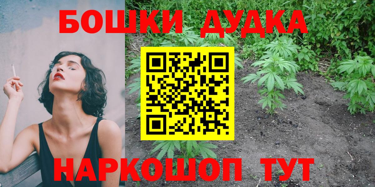 Конопля семена  Вход с VPN  Марихуана SATIVA & INDICA  Новотроицк  Конопля конопля 